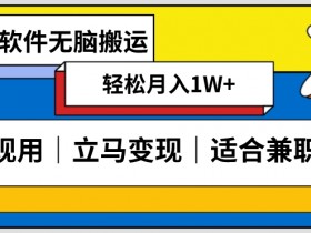 低密度新赛道视频搬运：一天1000+原创视频零成本教程-54创业网