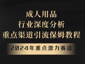 2024成人用品行业分析：潜力赛道揭秘及重点渠道引流教程-54创业网