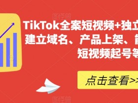 TikTok短视频+独立站全案：0-1起号/域名搭建/产品上架全包-54创业网