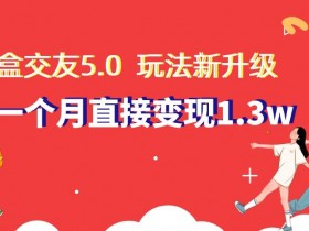盲盒交友5.0玩法升级：新手小白月赚1.3W实操揭秘，轻松变现攻略-54创业网