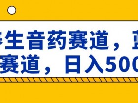 养生音药赚钱吗？蓝海赛道日入500+揭秘，轻松上手副业-54创业网