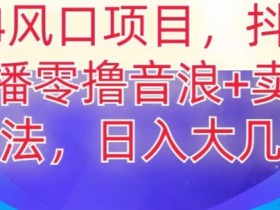 2024抖音无人直播赚钱秘籍：撸音浪卖课日入几千实操大揭秘-54创业网