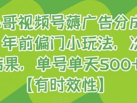 旺小哥视频号广告分成：年前偏门玩法日赚500+，次日出结果-54创业网