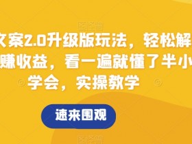 搞怪文案2.0：0成本解压赚钱实操教学，半小时速成轻松赚收益-54创业网