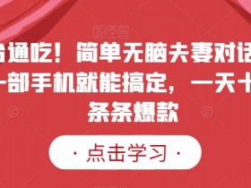夫妻动画视频制作教程：一部手机日更爆款，新手也能轻松上手！-54创业网