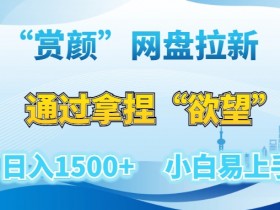 赏颜网盘拉新赚钱：揭秘小白日入1500+的欲望变现玩法-54创业网