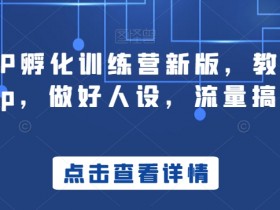 商业IP孵化训练营：打造吸金人设，搞流量赚钱秘籍-54创业网