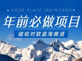 磁吸对联赚钱：年前蓝海项目，手机操作零门槛，复制粘贴日赚千元-54创业网