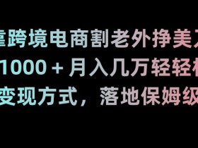 跨境电商赚钱秘籍：日入1000+美金实操教程，保姆级跨境变现攻略-54创业网