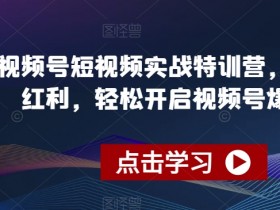 视频号爆单实战营：踩准风口红利，轻松玩转短视频变现-54创业网