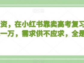 高考复习资料赚钱秘籍：小红书0成本月入1万，学生党抢着买！-54创业网