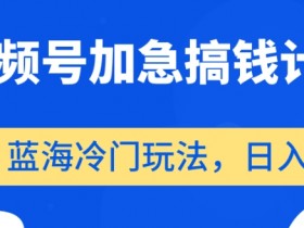 视频号赚钱秘籍：冷门蓝海玩法日入500+，加急搞钱计划大揭秘-54创业网