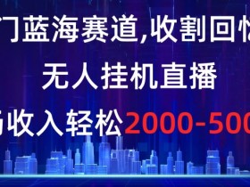 揭秘冷门蓝海赛道：无人直播收割回忆粉，单场收入2000-5w+暴利玩法-54创业网