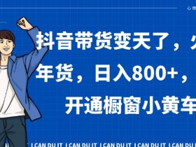 抖音带货0粉开通橱窗小黄车：年货爆单日赚800+实战揭秘-54创业网