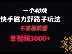 40块快赚！快手美团磁力野路子玩法，单视频收益4位数揭秘-54创业网