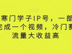 寒门学子IP号赚钱秘籍：5分钟1个视频，冷门赛道流量大收益高-54创业网