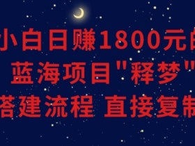 新手日赚1800的蓝海项目：释梦变现0-1全流程拆解，小白可复制长期操作-54创业网