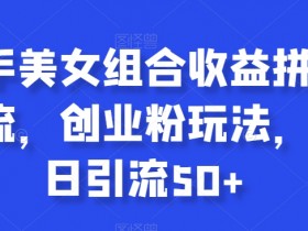快手美女组合创业粉玩法：单日引流50+收益拼图揭秘-54创业网