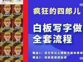 四郎白板写字起号全套流程：简单几笔勾画打造爆款，最火白板玩法速成-54创业网