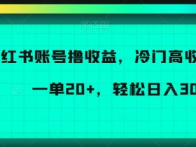 小红书赚钱项目：冷门高收益一单20+，日入300+实操揭秘-54创业网