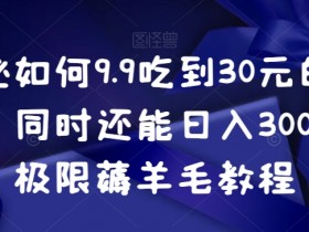 9.9吃30元外卖还能日赚300？薅羊毛极限教程揭秘-54创业网
