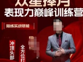众星捧月表现力训练营：实战陪练赋能，全方位打造巅峰表现力-54创业网