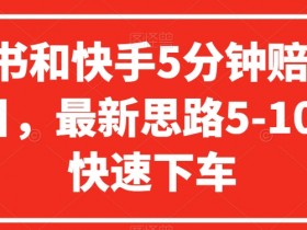 5分钟赔付100元：小红书快手最新项目揭秘，5-10分钟快速下车赚钱-54创业网
