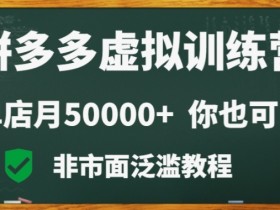 拼多多虚拟电商训练营：月入3万+暴利副业，新手小白也能轻松上手-54创业网