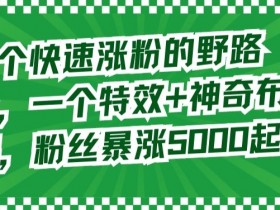 特效+神奇布偶野路子揭秘：2招快速涨粉5000+，亲测有效！-54创业网