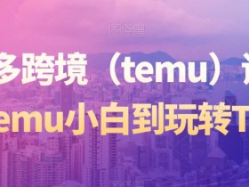 Temu跨境运营课程：从小白到高手，轻松玩转拼多多Temu-54创业网