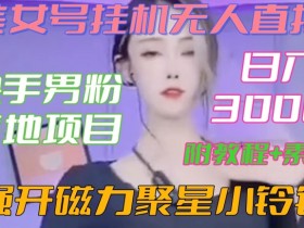 快手男粉赚钱项目：美女号无人直播+磁力聚星强开教程，日赚3000真实案例【附素材包】-54创业网