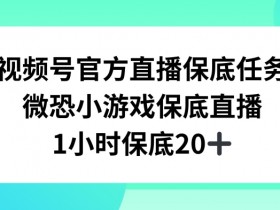 视频号直播任务：1小时20+微恐小游戏揭秘，胆小慎入！-54创业网