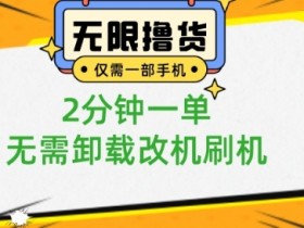 手机0撸0.01元商品攻略：小白2分钟一单，无限刷免卸载改机技巧-54创业网