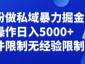 负债粉私域变现秘籍：新手日赚5000+实战攻略，零门槛无经验要求-54创业网