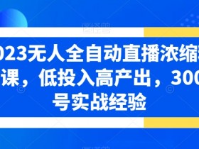 2023无人直播全自动赚钱课：3000实战经验浓缩，低投入高产出秘籍-54创业网
