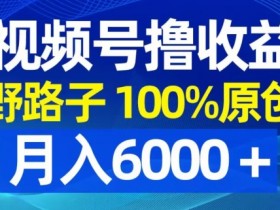 视频号赚钱野路子：100%原创爆款秘籍，轻松月入6000+实操揭秘-54创业网