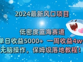2024最新风口项目：低密度蓝海赛道揭秘，单日赚5000+一周4w+！-54创业网