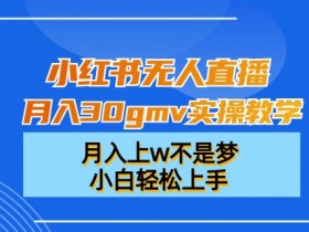 小红书无人直播赚钱攻略：30万GMV实操教学，小白轻松月入上万-54创业网