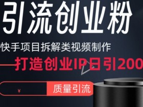 快手项目拆解：日引200+创业粉的IP打造全流程【实战揭秘】-54创业网