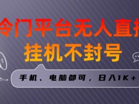 冷门平台无人直播项目：三天起号日入1000+，手机电脑轻松操作-54创业网