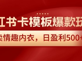 情趣内衣赚钱秘籍：小红书卡模板日赚500+爆款玩法大揭秘-54创业网