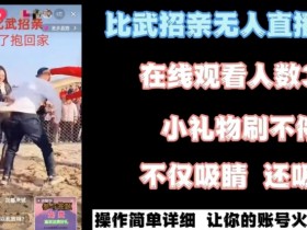 无人直播比武招亲玩法揭秘：简单上手，轻松赚钱！-54创业网