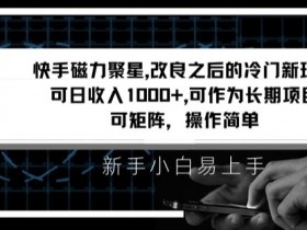 快手磁力聚星赚钱攻略：日赚1000+的矩阵新玩法，操作简单收益高-54创业网