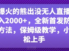 熊出没无人直播日入2000+：防版权违规新方法大揭秘-54创业网