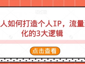 创意人打造个人IP指南：3大流量转化逻辑，轻松变现-54创业网