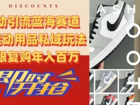 AJ运动用品私域玩法：被动引流蓝海赛道揭秘，无限复购年入百万-54创业网