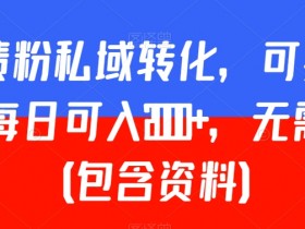 负债粉私域变现秘籍：日赚2000+无经验教程（附资料包）-54创业网
