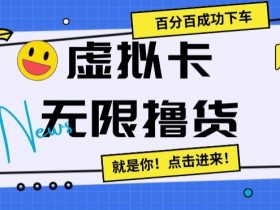 虚拟卡无限撸货教程：百分百成功下车技巧大揭秘-54创业网