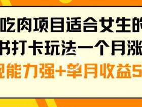 年底副业赚钱：女生小红书打卡玩法月涨粉6万+单月收益5位数【吃肉项目】-54创业网