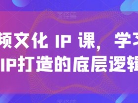 文化IP打造课：短视频爆款IP的底层逻辑全解析-54创业网